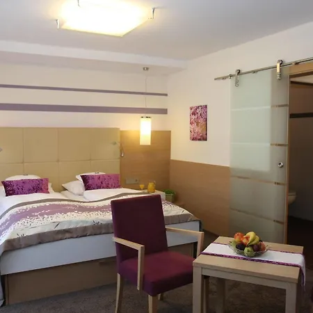 Lenauhof - Nur 3 Minuten Zur Rottal Terme - 3*
