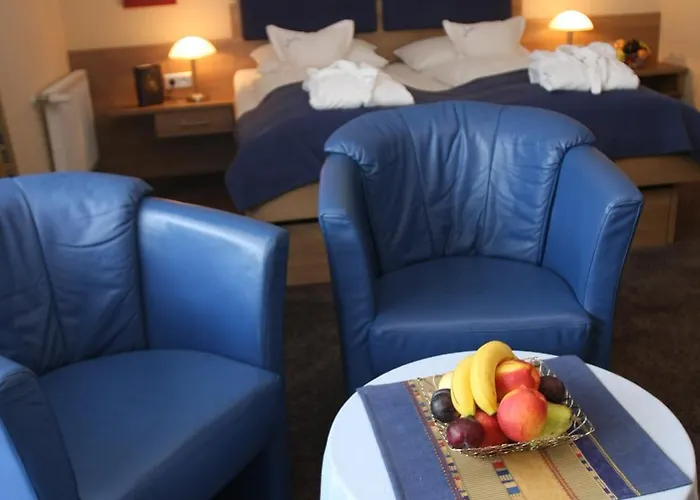 Hotel Lenauhof 3*
